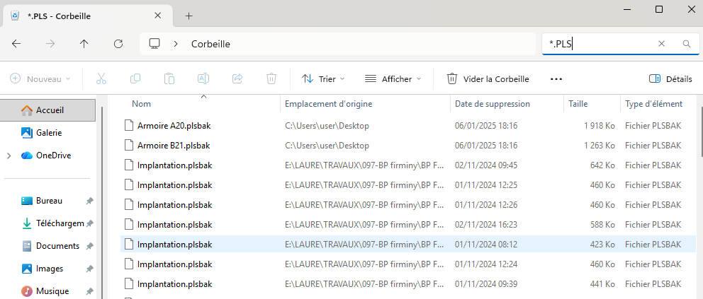 Sauvegarde PLS avec fichier .plsbak